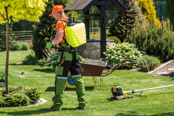 Best Fumigation Services  in Pike Creek, DE